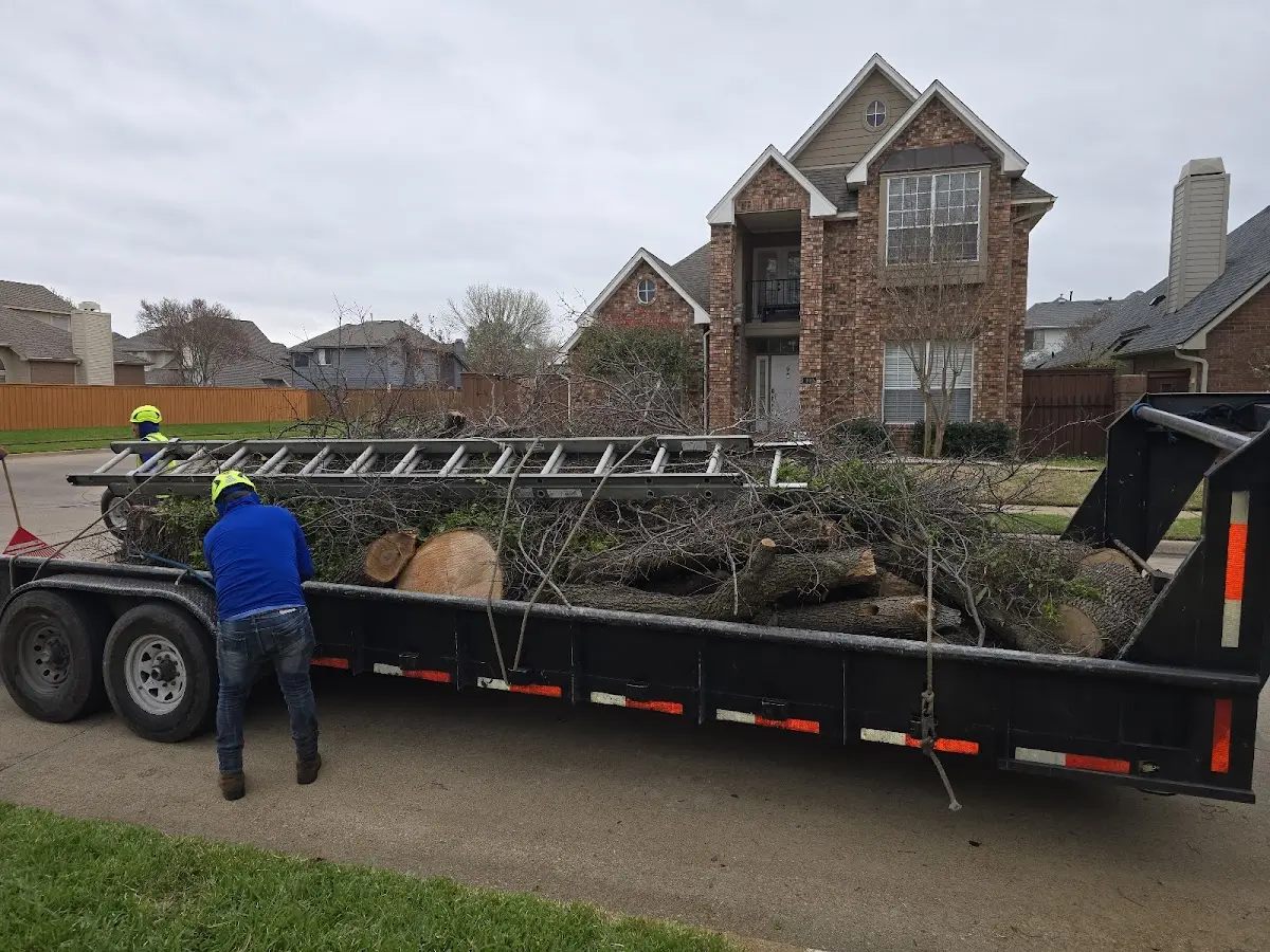 Expert Lot Clearing with proper safety equipment in Wewoka